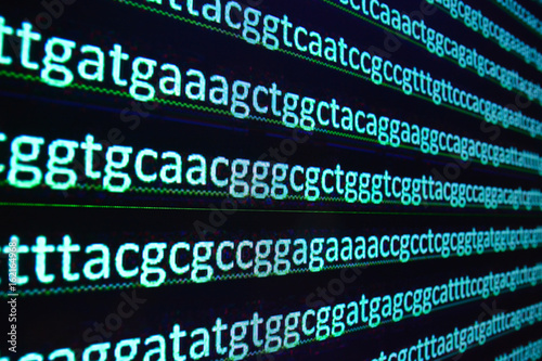 Sequencing of the genome in the laboratory. photo