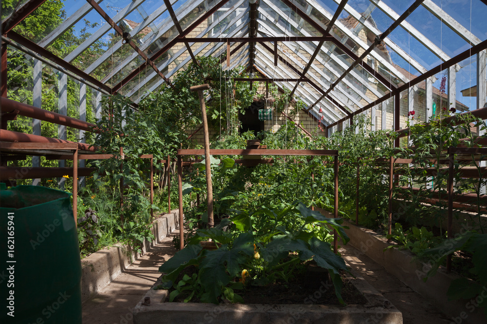 Natural garden greenhouse.