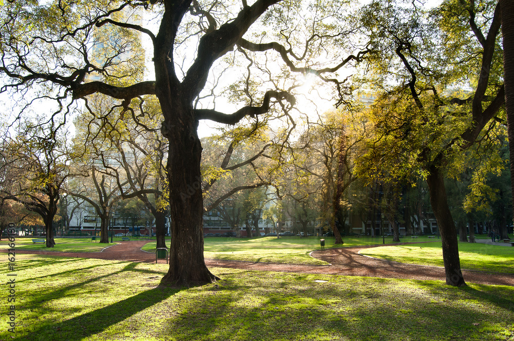 Dawn at the park