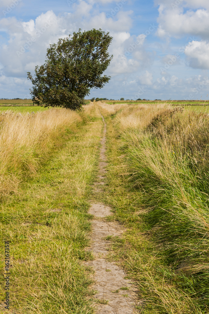 Fototapeta premium Hiking Path Texel