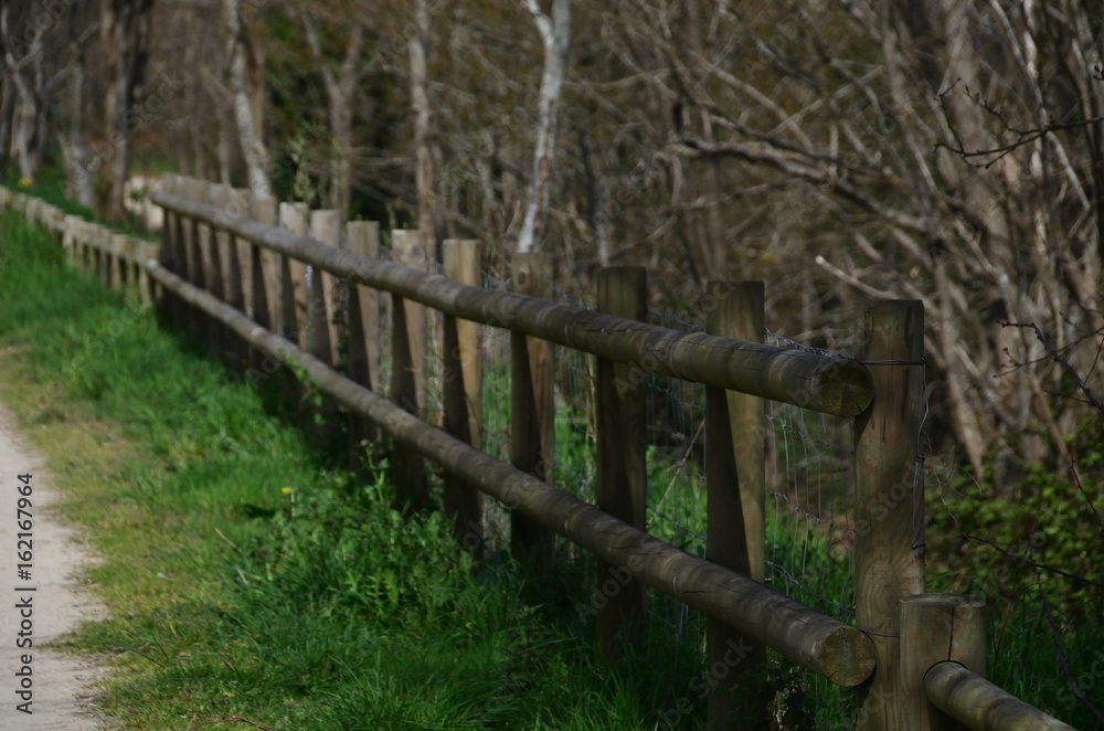 Fototapeta premium Barrière en bois .