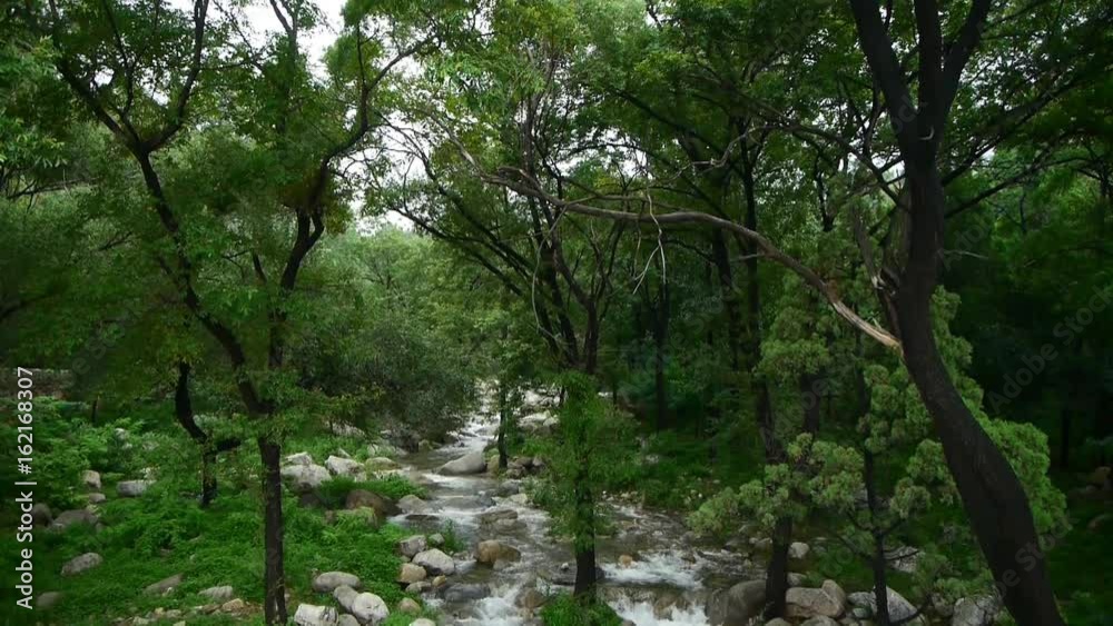 Mountain creek stream from forests & shrubs. Mountain creek stream from forests & shrubs.