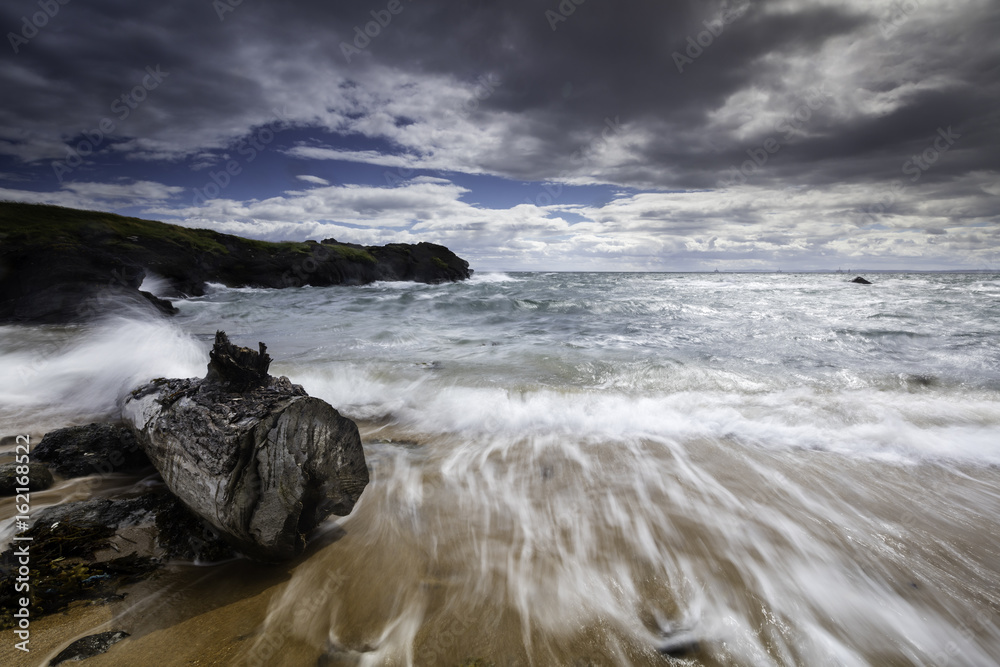 Obraz premium Driftwood