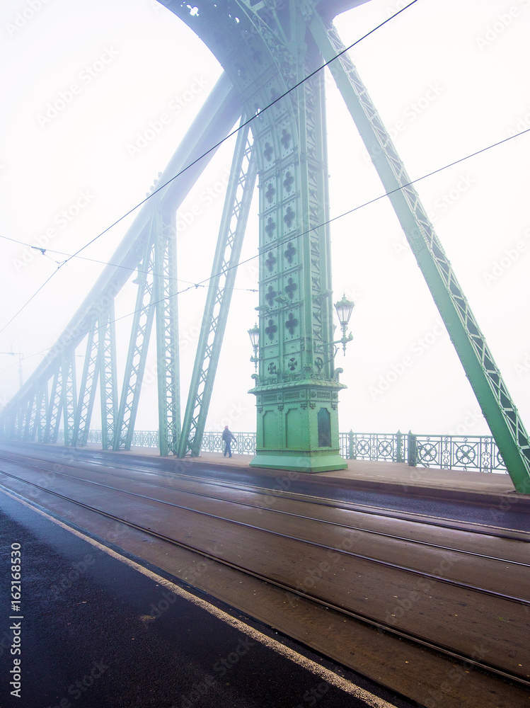 Fototapeta premium Foggy Liberty Bridge