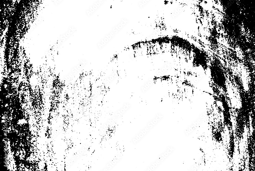 Fototapeta premium Old wood trunk cut monochrome vector texture. Obsolete texture of timber board.