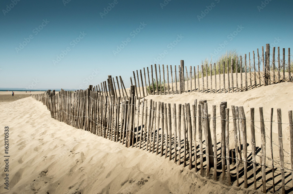 Obraz premium Dunes de l'Espiguette