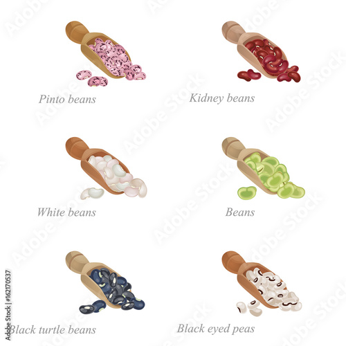 Six shovels with different beans in them / There are shovels with pinto beans, kidney beans and other popular beans
