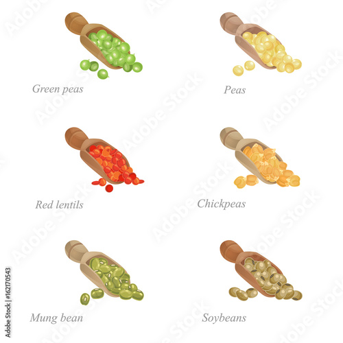 Six shovels with different legumes in them / There are shovels with green peas, red lentils, mung beans and other popular legumes
