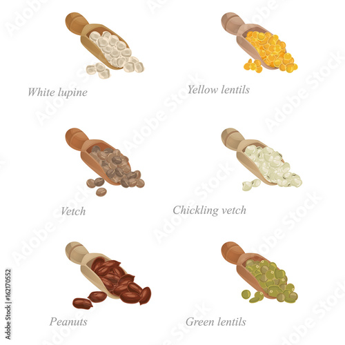 Six shovels with different legumes in them / There are shovels with white lupine, vetch, green lentils and other popular legumes
