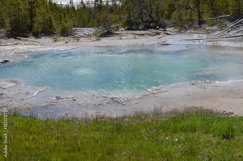 Yellowstone