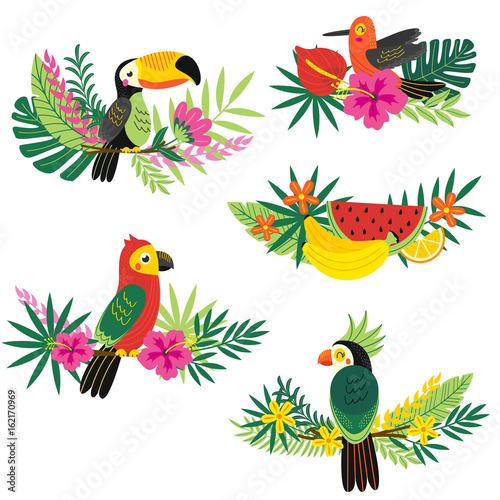 set of isolated decorative tropical design - vector illustration, eps