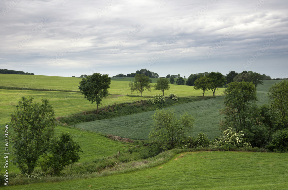 Landscape near Wijlre