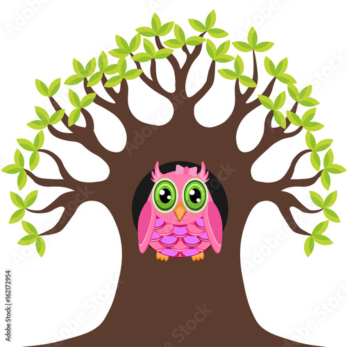 Owl in the tree hollow