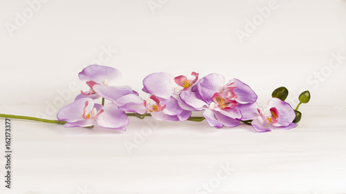 Flower arrangement - orchises on the bright background