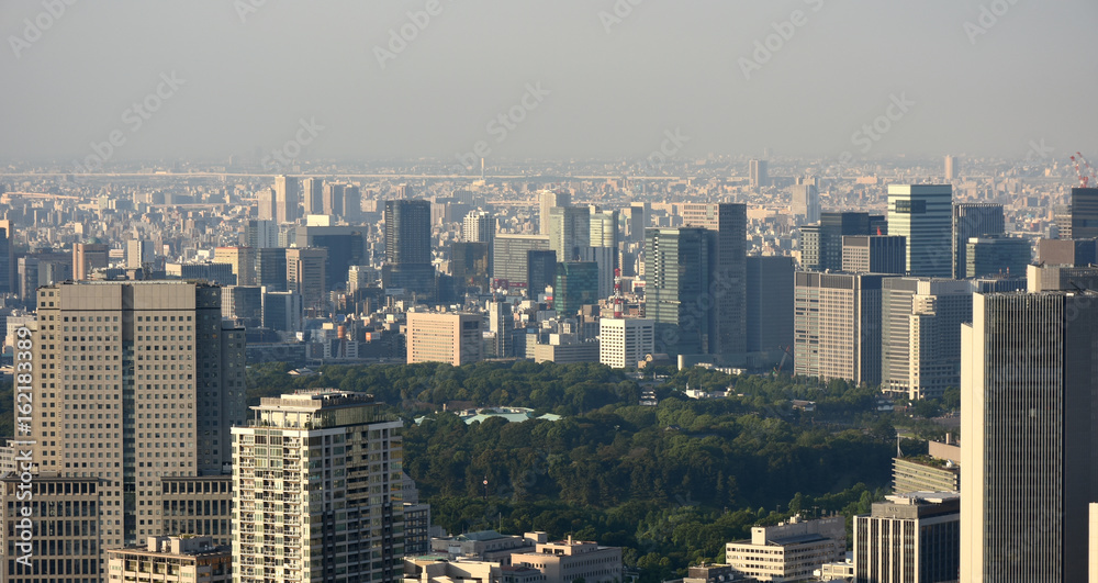 Fototapeta premium 日本の東京都市景観（千代田区方面などを望む）
