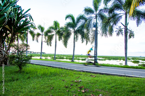 Park, street, bike photo