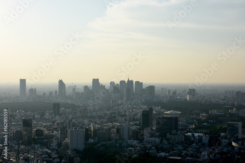 日本の東京都市風景（新宿の高層ビル群などを望む）