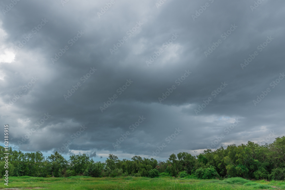 Rain clouds over the forest before a storm in rainy season. Rain clouds over the forest before a storm in rainy season.