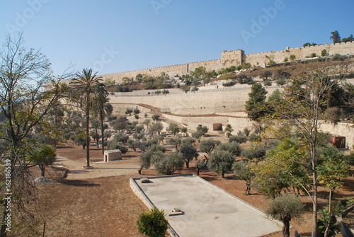 Gethsemane Garden Jerusalem