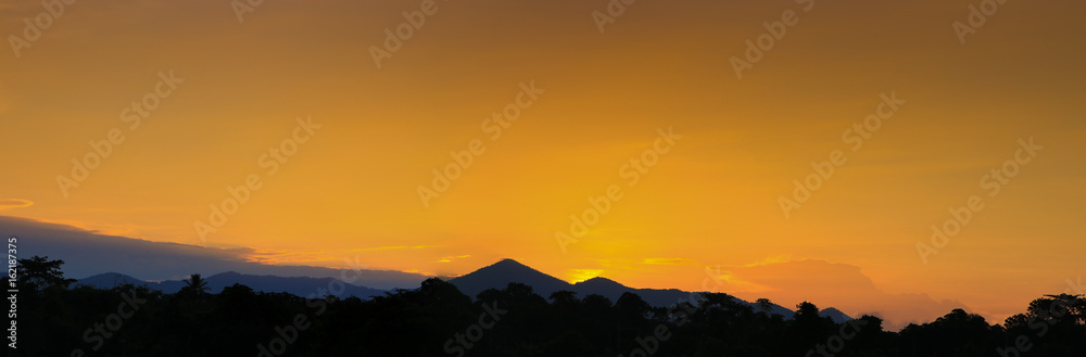 Panorama sunset beautiful colorful landscape and silhouette tree mountain in sky twilight time