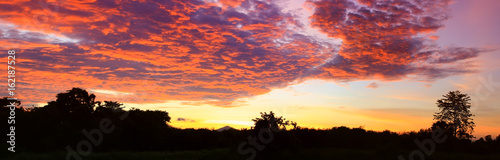 Panorama sunset beautiful colorful landscape and silhouette tree mountain in sky twilight time