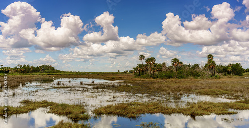 Blue Sky over the Marsh