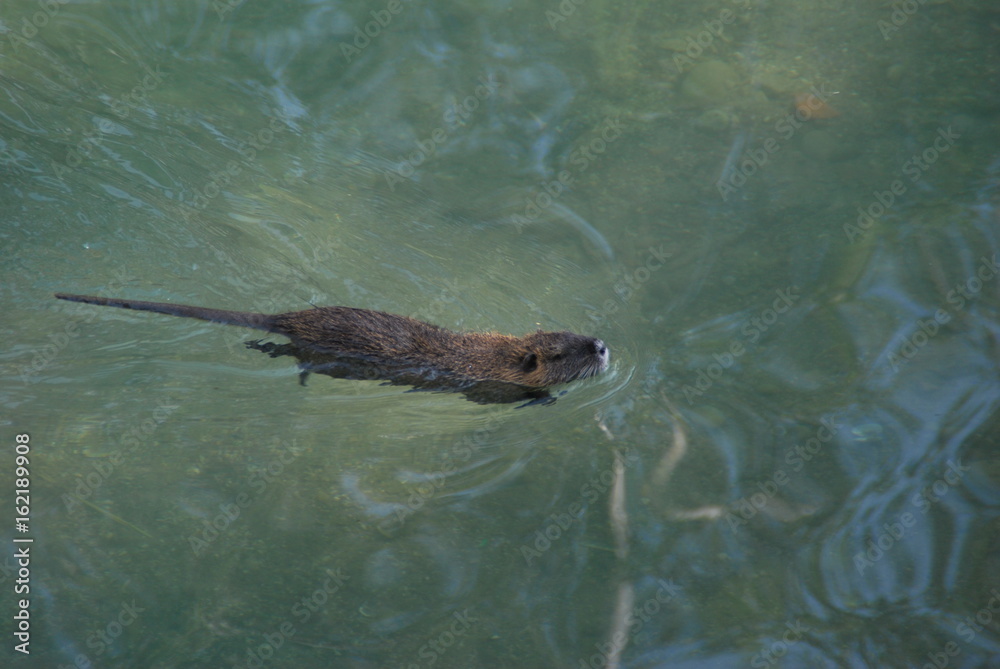 Obraz premium Jordan River