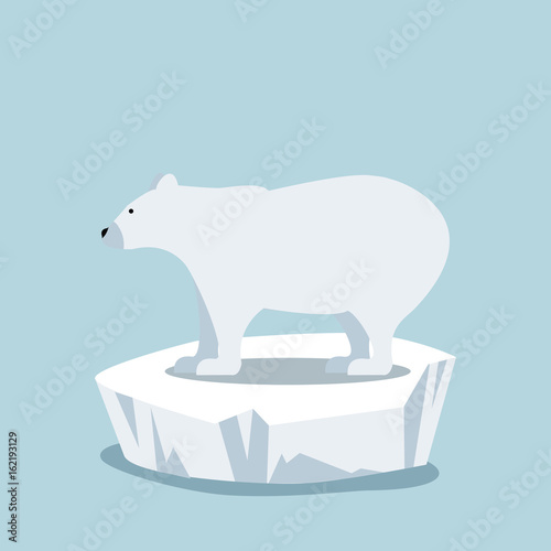 Polar bear  on ice floe
