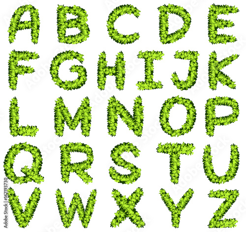 Alphabet design in green leaves