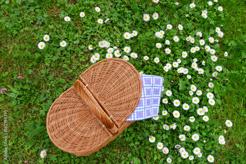 Picnic basket and blue white checkered napkin on lawn with daisy flowers