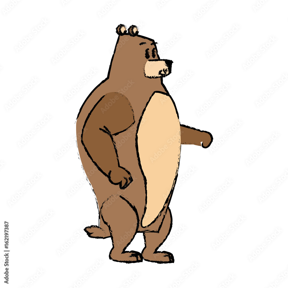 cartoon bear character wildlife animal carnivore cartoon bear character wildlife animal carnivore