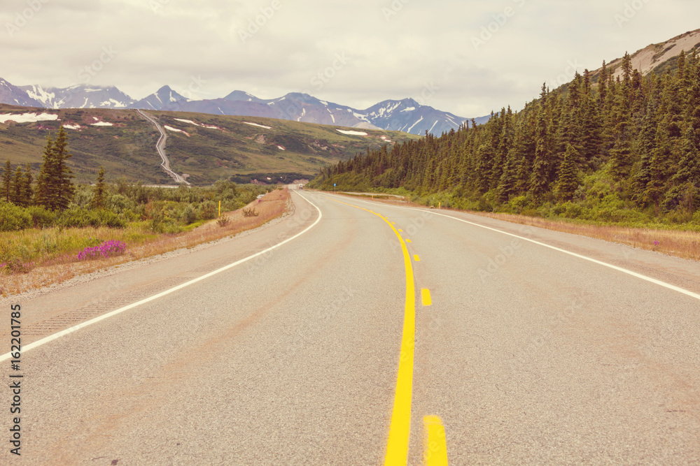 Fototapeta premium Road on Alaska