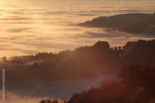 A sea of fog at sunset, with hills resembling cliffs and trees projecting long shadows