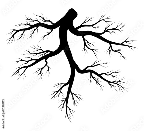 root silhouette vector symbol icon design.
