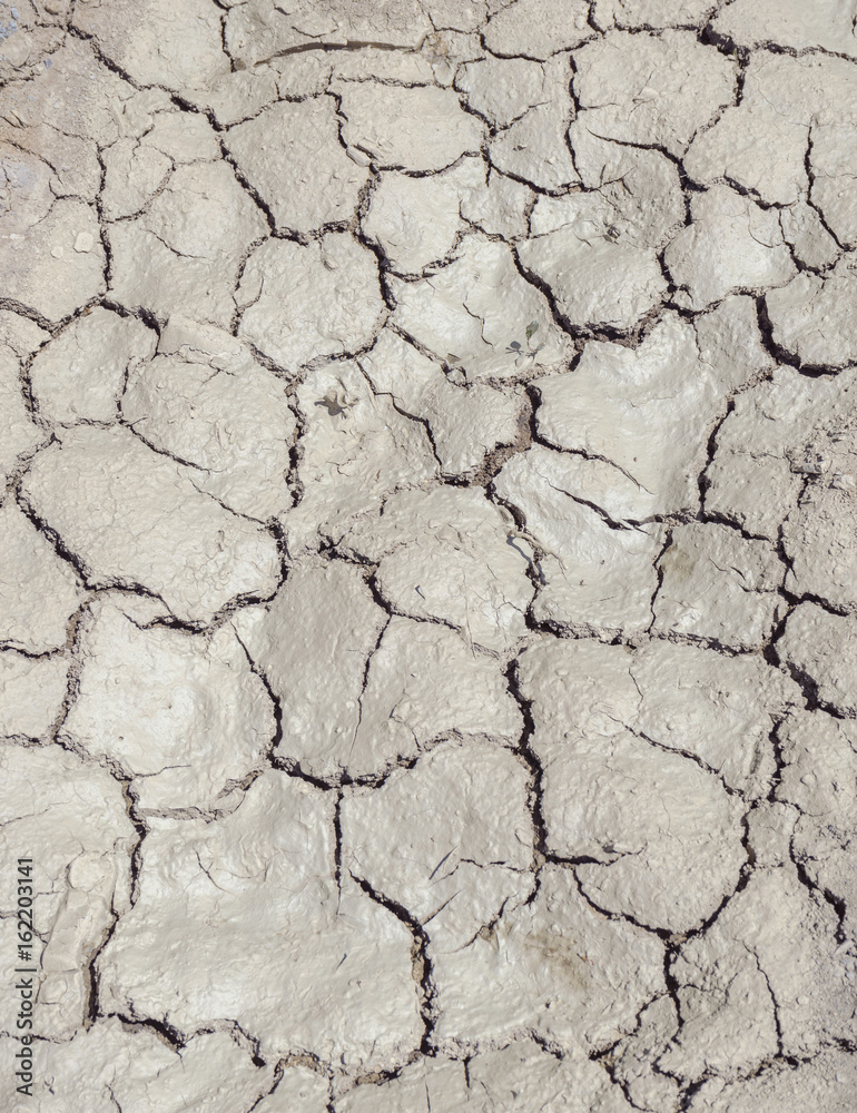 fissured soil background fissured soil background