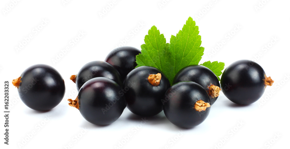 black currant with green leaf isolated on white background black currant with green leaf isolated on white background