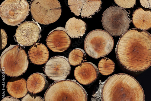 Natural old wood logs background