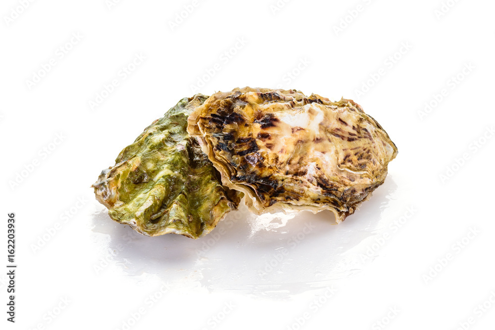 Fresh closed oyster isolated on white background Fresh closed oyster isolated on white background
