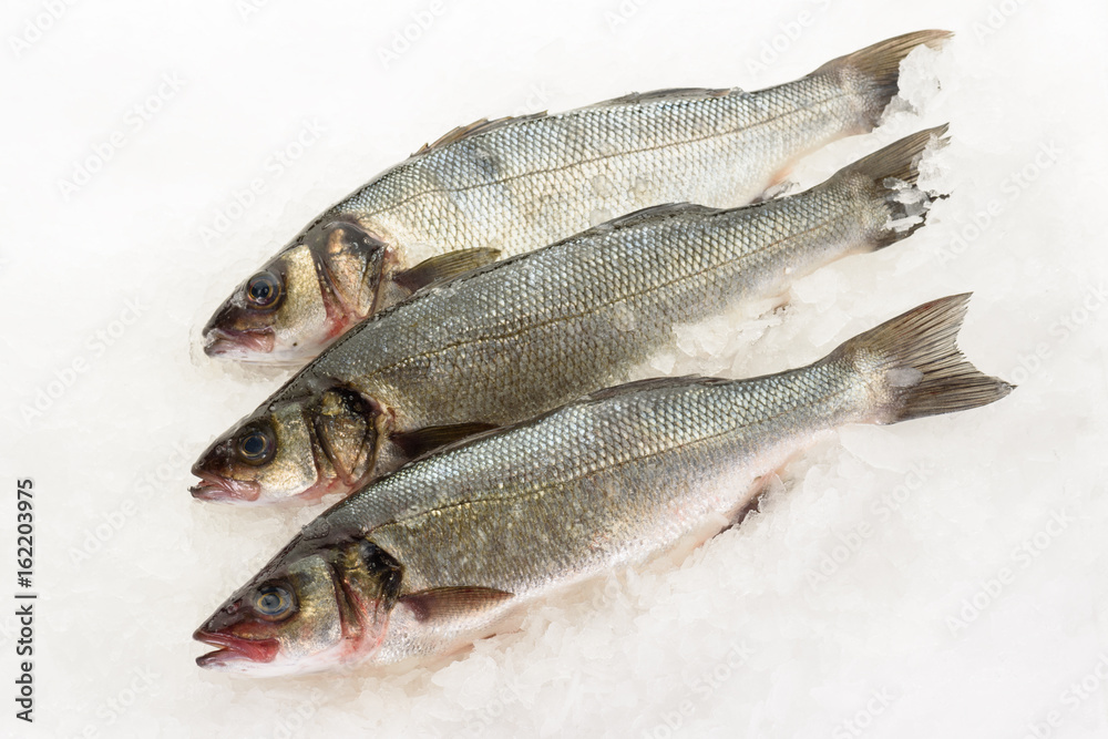 Fresh perch fish on ice. Ready for cooking.