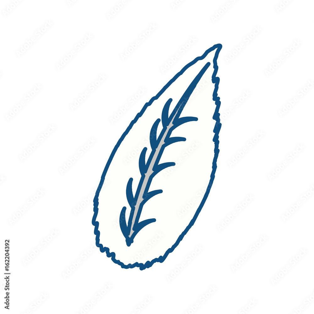 isolated sheet tree icon vector illustration graphic design isolated sheet tree icon vector illustration graphic design