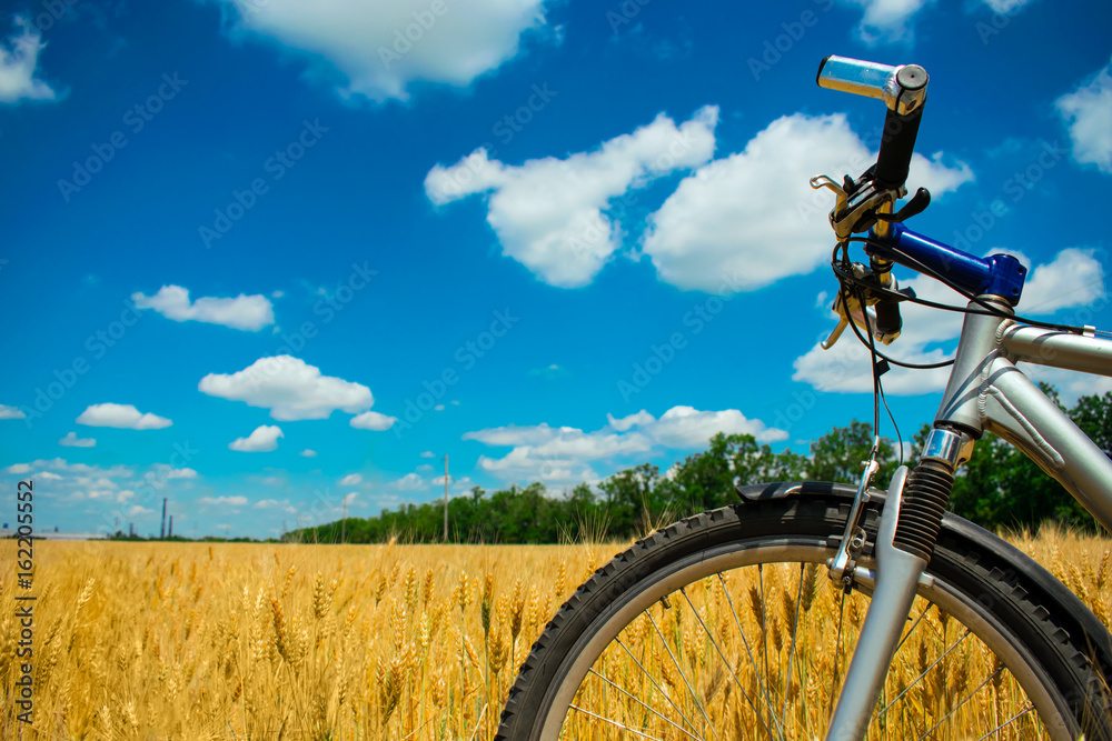 Naklejka premium Mountain bike on yellow wheat field under blue sky with clouds