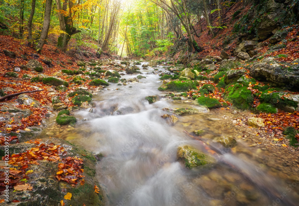 Beautiful autumn landscape with mountain river and colorful trees with green, red, yellow and orange leaves. Mountain forest in Crimea. Beautiful autumn landscape with mountain river and colorful trees with green, red, yellow and orange leaves. Mountain forest in Crimea.