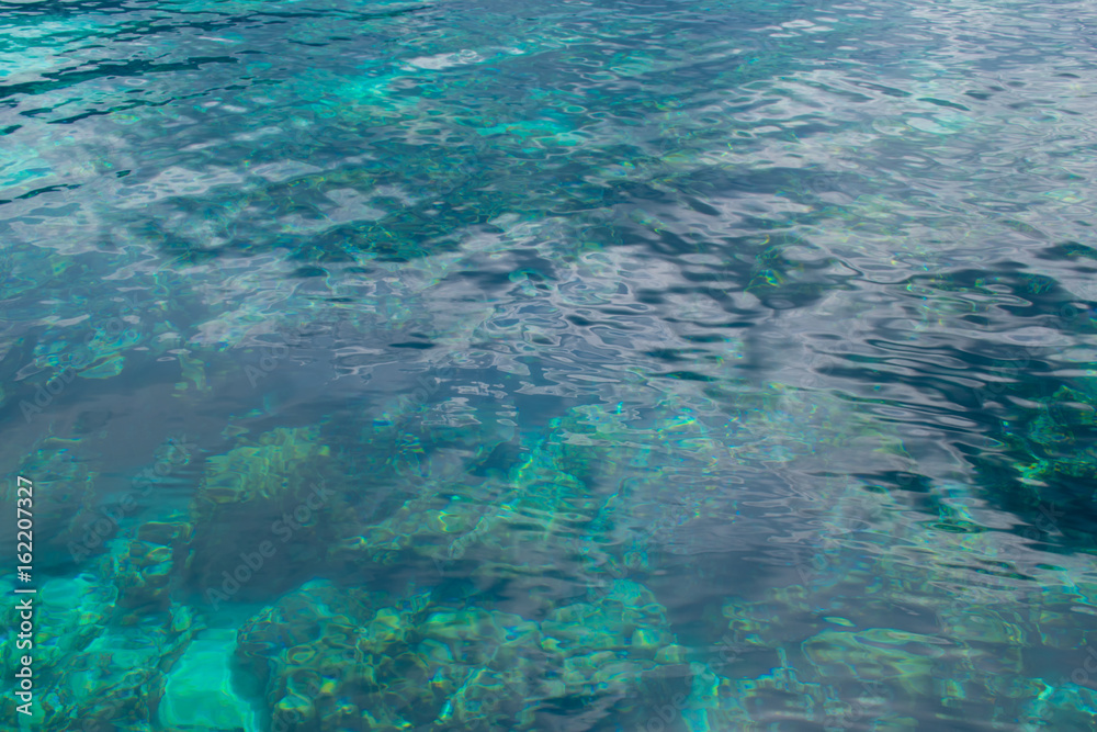 Fototapeta premium Blue sea and coral