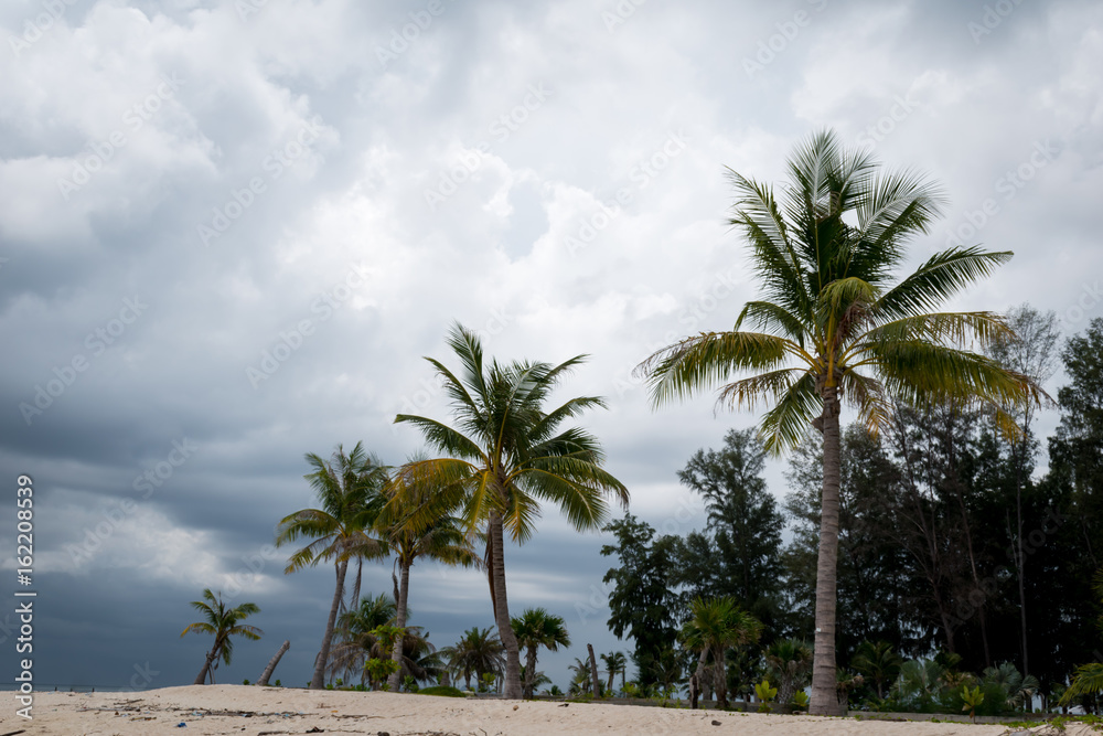 Fototapeta premium The sky's overcast at the beach,it's not a very nice day for travel.