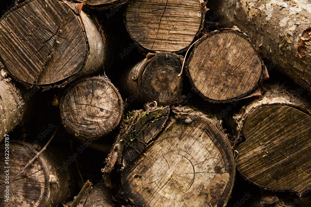 Naklejka premium Фон из бревен