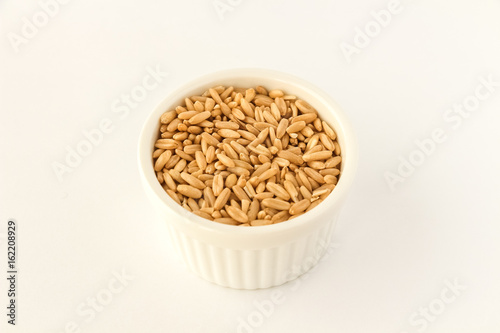 Oats photo