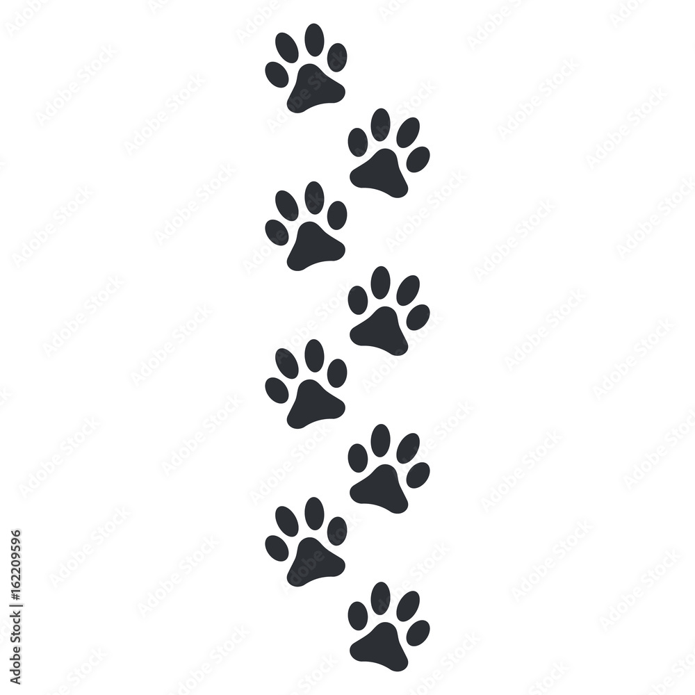 Paw print vector illustration