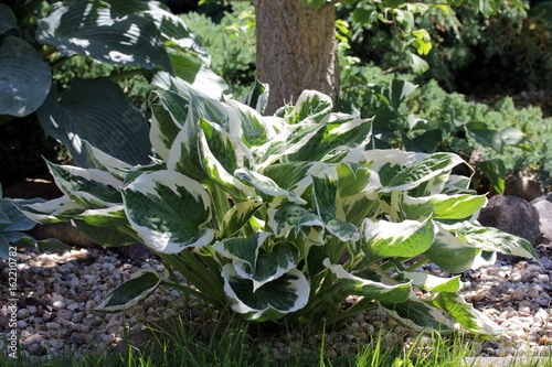 Gartengestaltung