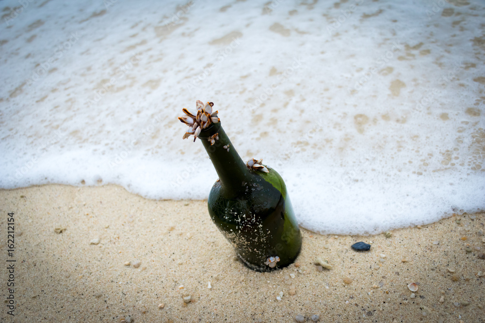 Fotografie Shellfish on the glass garbage  on sea ,environment concept