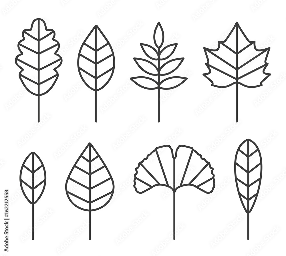 Leaf Line Icon Set, Flat, Lines, Vector
